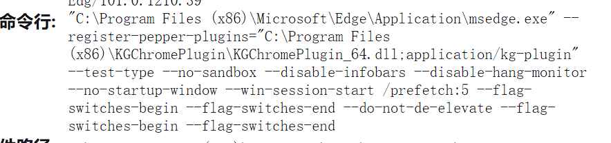 V2EX-edge 浏览器启动的命令行参数应该怎么修改？老是提示我--no-sandbox 不安全，但是我想去掉不知道在哪改。 - 第1张  | 牛C网(NiuL.Net)